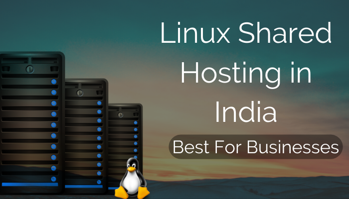 Linux Shared Hosting in India